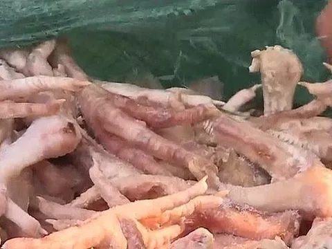 Hà Nội: Phát hiện hơn 3 tấn chân gà bẩn chuẩn bị tuồn ra thị trường