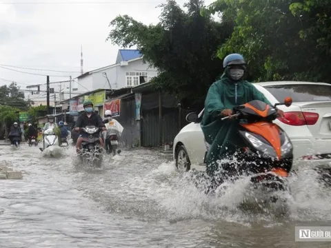 Khánh Hòa chủ động triển khai các biện pháp ứng phó với bão số 7
