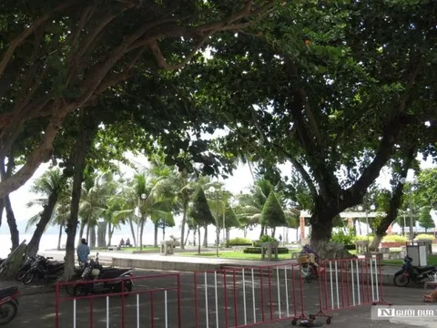 Khánh Hòa: Truy thu 329 triệu đồng từ các bãi giữ xe hoạt động quá hạn