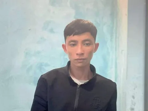 Bình Thuận: Bắt đối tượng trộm cắp tài sản của người dân