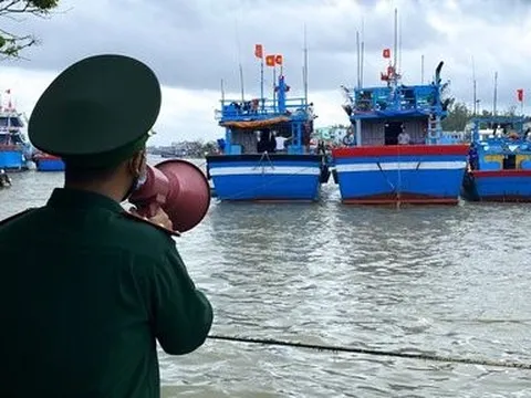 Không cấp phép rời cảng cho tàu thuyền vào vùng nguy hiểm của bão số 7
