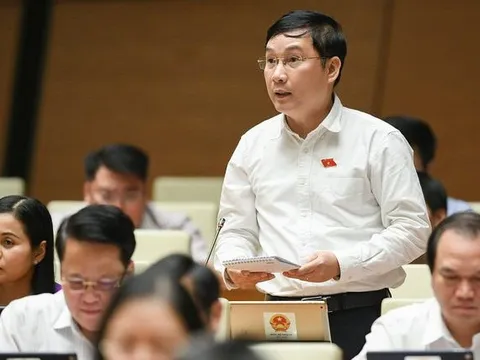 Đại biểu Quốc hội chất vấn việc chậm xử lý vụ bà Nguyễn Phương Hằng livestream