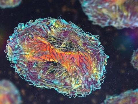 Một dịch bệnh khác lan toàn cầu theo đúng cách hiểm hóc của COVID-19