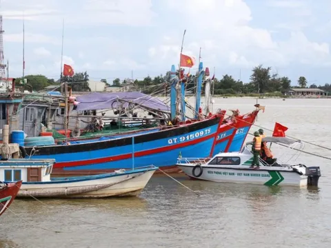 Không cấp phép tàu rời cảng vào vùng nguy hiểm bão số 7