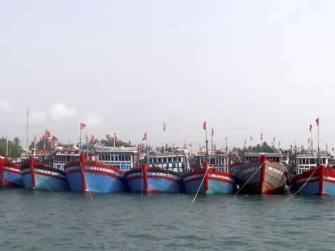 Quảng Ngãi: Nỗ lực cứu hộ tàu cá bị chìm, ngư dân mất tích trên biển