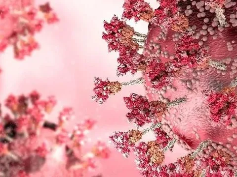 Mỹ: Xác định biến chủng xuyên miễn dịch tốt hơn BA.5 từ 3-8 lần