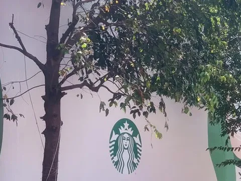 Starbucks sắp đổ bộ Hội An sau nhiều năm chật vật theo đuổi vì lý do "khó nói"