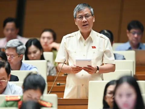 ĐB Nguyễn Anh Trí: 'Tham nhũng vặt như vòi bạch tuộc, làm chùn bước nhà đầu tư'