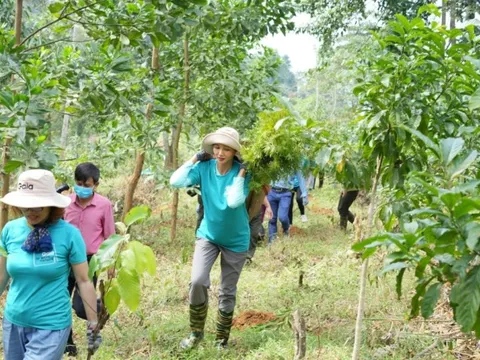 Hoa hậu H'Hen Niê và Gaia kết nối nguồn lực phủ xanh rừng Việt Nam