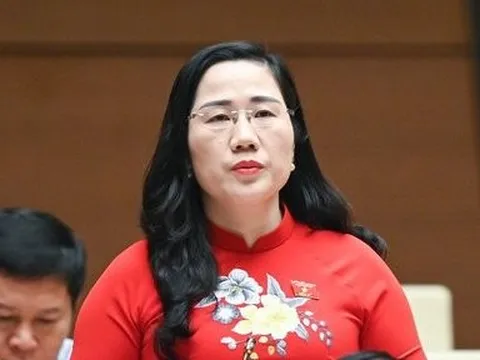 ĐBQH vạch trần “vở kịch” quân xanh, quân đỏ trong đấu thầu  