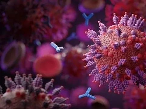 Nghiên cứu về tái nhiễm: Tin vui lớn cho các cựu F0 Omicron