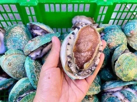 Món ăn chỉ dành cho nhà giàu, nay giảm giá mạnh nhiều người được ăn sang