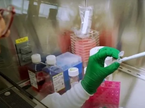 Đột phá trong chữa trị ung thư bằng công nghệ chỉnh sửa gene