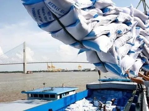 Giá gạo Việt Nam xuất khẩu cao nhất thế giới
