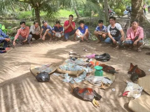 Công an Vĩnh Long triệt xóa hàng loạt điểm đánh bạc trong ngày