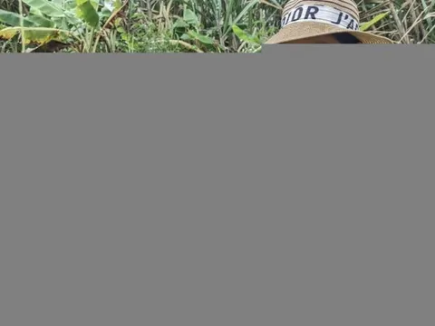 Chuyện về loại nguyên liệu được coi là "linh hồn" của đặc sản Tây Nguyên