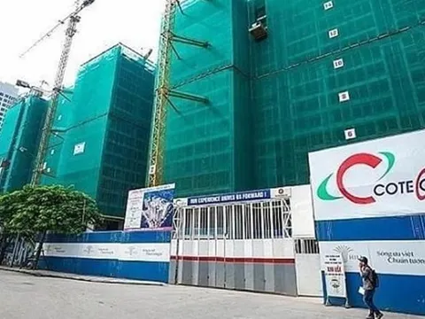 Coteccons khẳng định đã trích lập dự phòng toàn bộ với các khoản phải thu liên quan đến chủ đầu tư Vạn Thịnh Phát