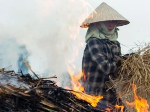 Nông dân ngoại thành Hà Nội đốt rơm rạ, khói mù mịt "bủa vây" người đi đường