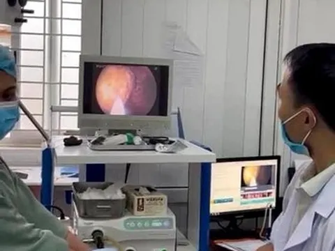 Ăn 1kg hồng giòn, người đàn ông bị chảy máu dạ dày suýt mất mạng