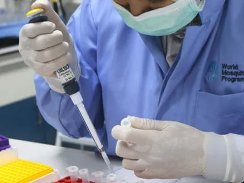 Đã mắc sốt xuất huyết rồi có bị nhiễm lần nữa?