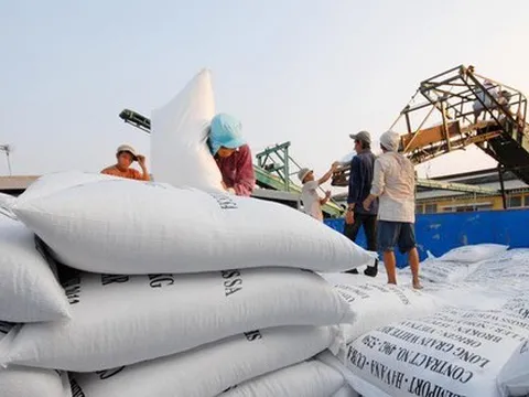Là 'cường quốc' xuất khẩu gạo, vì sao Việt Nam phải nhập gần 1 triệu tấn gạo?