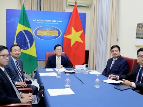Tham khảo chính trị lần VIII cấp Thứ trưởng Ngoại giao Việt Nam–Brazil