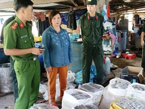 Quảng Nam: Bắt nhóm giấu gần 1 tấn thuốc nổ, súng, đạn
