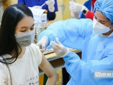 Ngày 23/11: Số ca mắc mới Covid-19 tăng lên 546