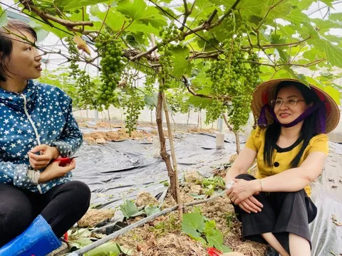 Đổi mới sáng tạo trong hoạt động tại Trung tâm Ứng dụng KH&CN Bắc Giang