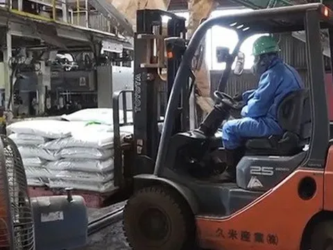 Phân bón vi sinh - Giải pháp cho rác thải thực phẩm