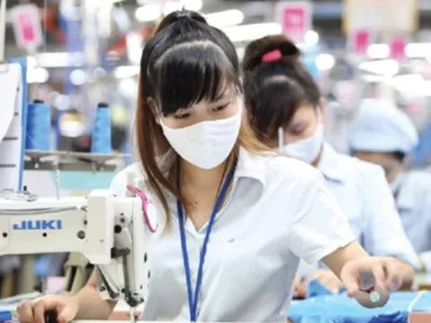 Hà Nội: Không để xảy ra việc nợ lương, thưởng Tết của người lao động