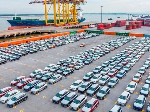 999 ô tô điện VinFast VF8 xếp cạnh nhau trông thế nào?