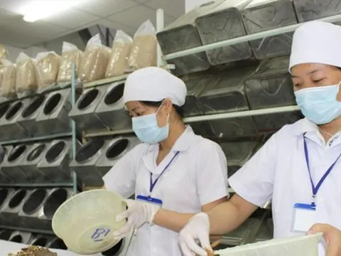 Thuốc quảng cáo, bán trôi nổi trên mạng: Hiểm họa khôn lường