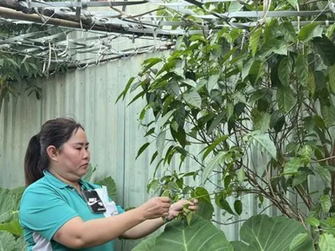 Công nhân chật vật mưu sinh cuối năm