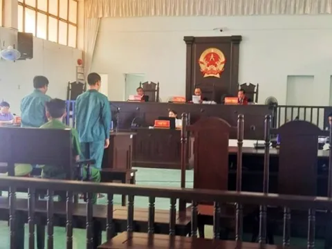 Bình Thuận: Hủy bản án hình sơ thẩm vì bỏ lọt tội phạm