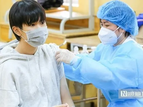 Ngày 29/11: Ca Covid-19 tăng lên 558