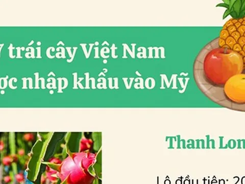 7 loại trái cây Việt xuất khẩu sang Mỹ là những loại nào?