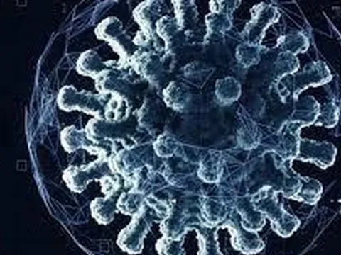 Biến thể phụ BA.2 sao chép trong tế bào não nhanh hơn chủng khác