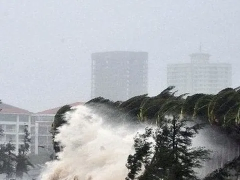 Khả năng xuất hiện áp thấp nhiệt đới, bão trên Biển Đông trong tháng 12