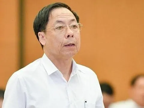 Thanh tra tổng cục, cục, sở được thành lập khi nào?