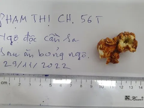 Ăn bỏng ngô nghi tẩm cần sa, một phụ nữ ngộ độc nhập viện