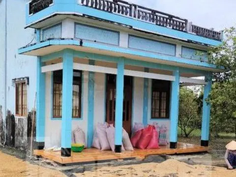 Sắp ‘giải cứu’ xong hàng nghìn tấn lúa Việt Nam ngon nhất thế giới bị ế