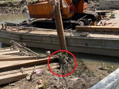 Vĩnh Long: Điều tra vụ thi thể bị phân hủy nằm trên trụ sắt