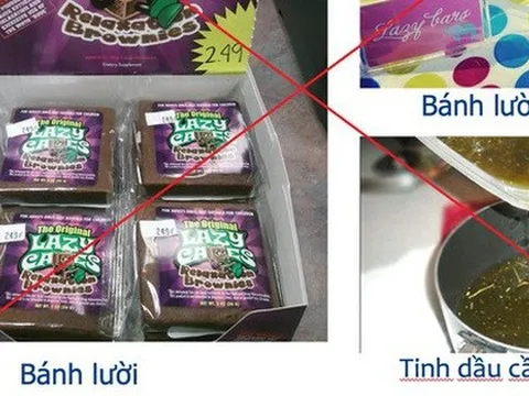 Điểm mặt các loại ma túy "núp bóng" thực phẩm, đồ uống, thuốc lá điện tử, thảo mộc…