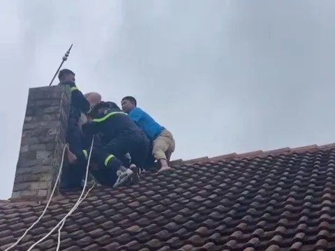 Giải cứu nam thanh niên đứng hơn 7 giờ trên nóc nhà cao tầng