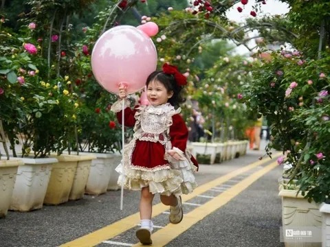 Mê Linh tất bật chuẩn bị cho Festival hoa đầu tiên