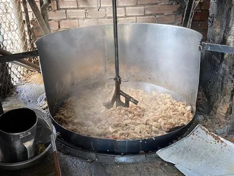 Mua mỡ heo, da heo đổ đống dưới sàn nhà rồi chế biến thành dầu, tóp mỡ