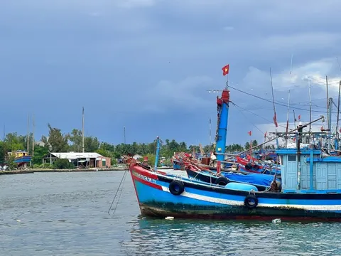 Quảng Ngãi tập trung tuyên truyền, chấm dứt tình trạng khai thác hải sản trái phép