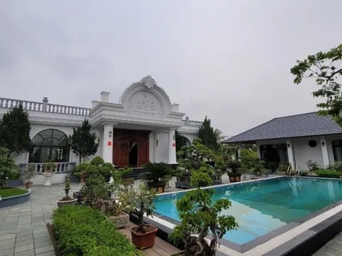 Con trai bỏ 40 tỷ đồng xây chuỗi biệt thự vườn sum vầy bên mẹ lúc tuổi già