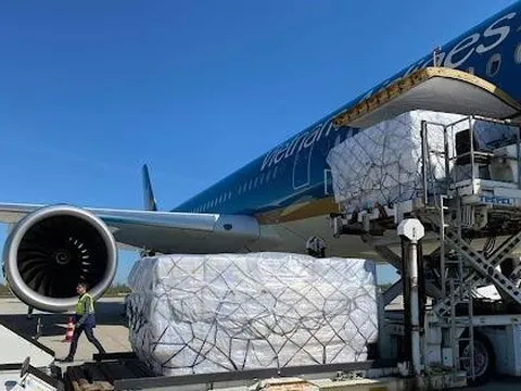 Khởi tố vụ án buôn lậu trên chuyến bay giải cứu từ Nga về Việt Nam